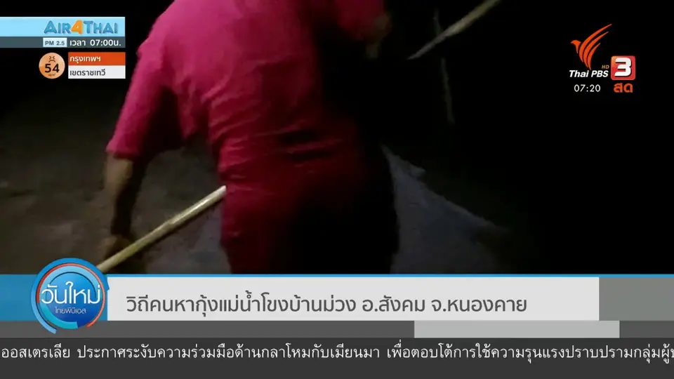​C-Site Focus พิกัดข่าว : วิถีคนหากุ้งแม่น้ำโขงบ้านม่วง อ.สังคม จ.หนองคาย