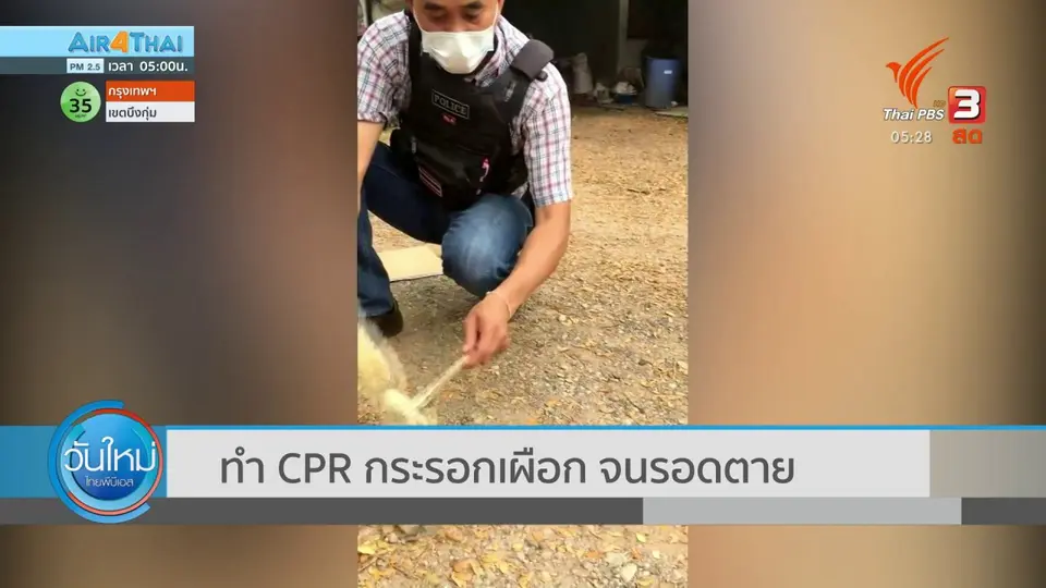 ทำ CPR กระรอกเผือก จนรอดตาย