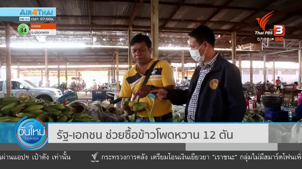 รัฐ - เอกชน ช่วยซื้อข้าวโพดหวาน 12 ตัน