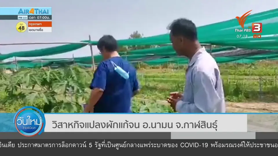 C-Site Focus พิกัดข่าว : วิสาหกิจแปลงผักแก้จน อ.นามน จ.กาฬสินธุ์