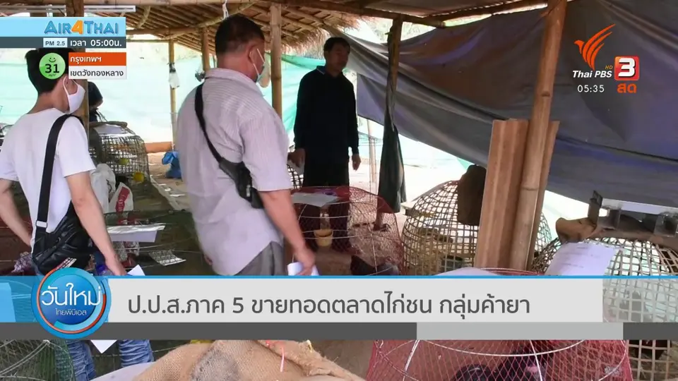 ป.ป.ส.ภาค 5 ขายทอดตลาดไก่ชน กลุ่มค้ายา