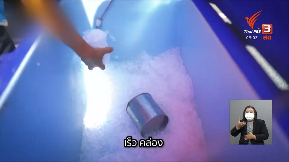 ​ดอกผลของความยั่งยืน : จากจุดเริ่มต้นจนสำเร็จ
