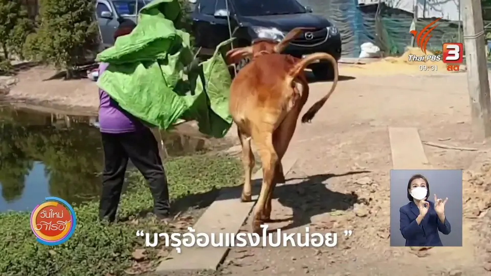 สีสันวาไรตี้ (6 ก.ค. 64)