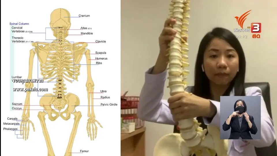 ​ชัวร์หรือมั่ว : นั่งทับกระเป๋าสตางค์เสี่ยงกระดูกหลังคด ?