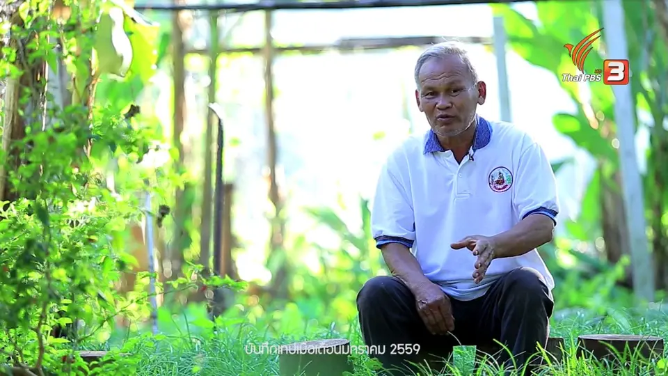 ดอกผลของความยั่งยืน : การวิเคราะห์ดิน ขั้นตอนสำคัญสำหรับการเกษตร