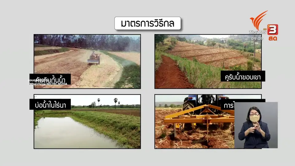 ​ดอกผลของความยั่งยืน : การอนุรักษ์ดินและน้ำ ในพื้นที่เกษตรกรรม