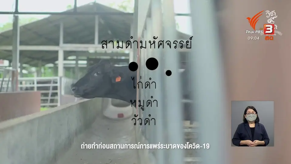 ดอกผลของความยั่งยืน : วิชาตำนานพันธุ์