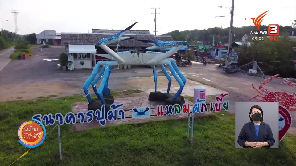 ดอกผลของความยั่งยืน : “ธนาคารปูม้า” อนุรักษ์ทรัพยากร สร้างความยั่งยืนให้ชุมชน