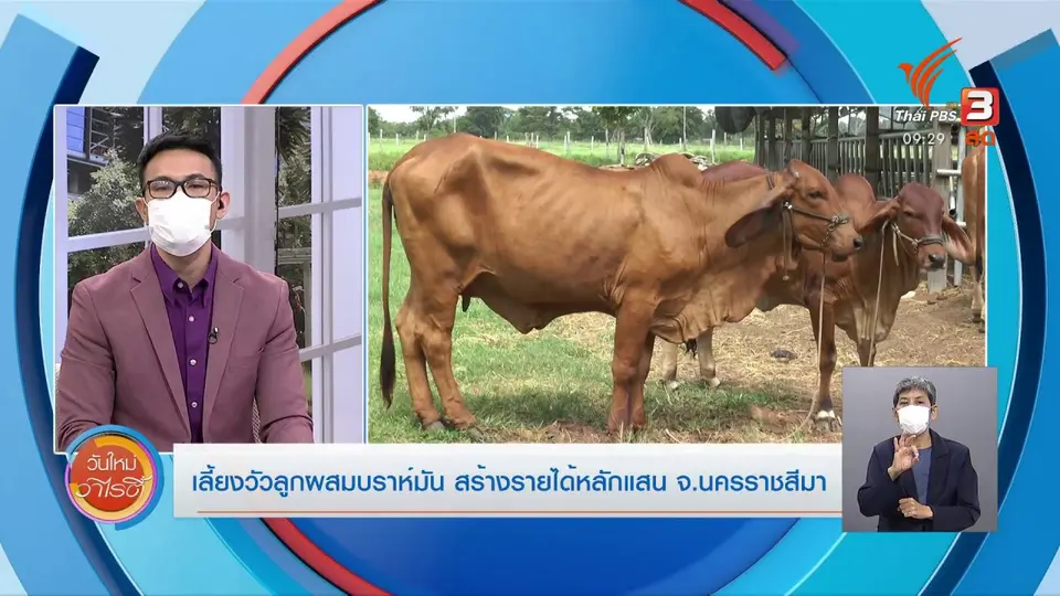 สีสันวาไรตี้ (25 ส.ค. 64)