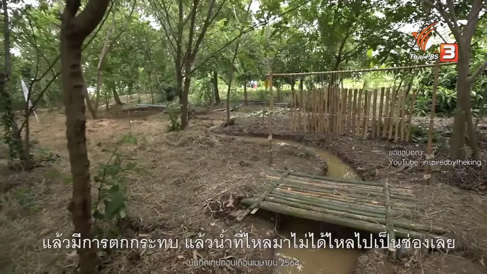 ดอกผลของความยั่งยืน : คลองไส้ไก่ หน้าดินสร้างประโยชน์