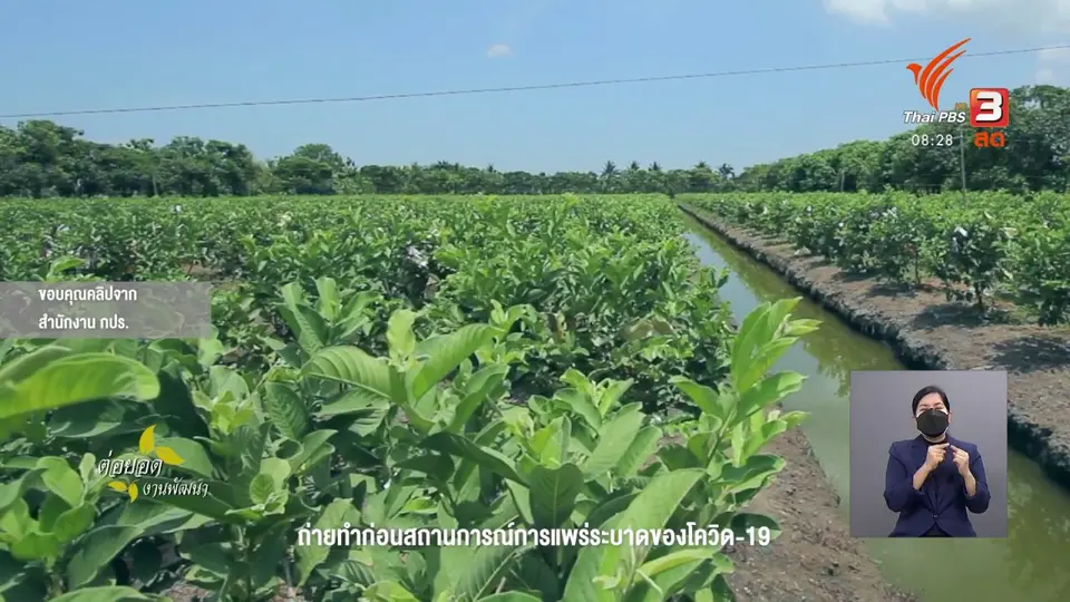 ​ดอกผลของความยั่งยืน : พอเป็น...สุขเป็น