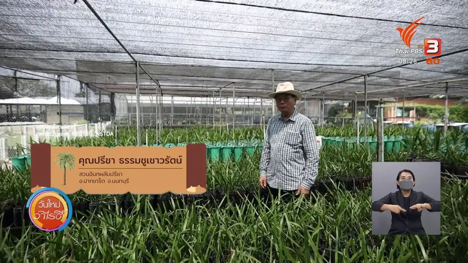 ​สีสันวาไรตี้ (2 ก.ย. 64)