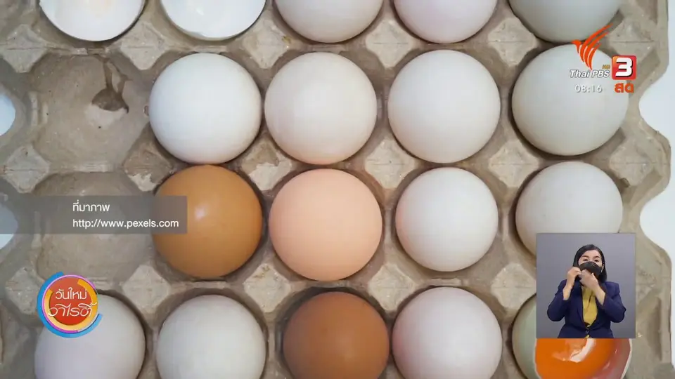 ​ชัวร์หรือมั่ว : กินไข่ช่วยบำรุงผม ?