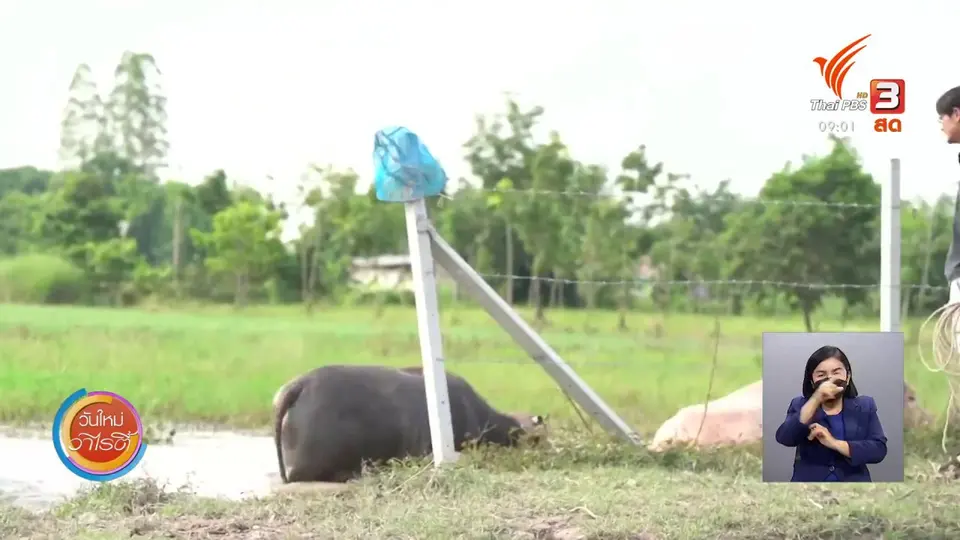 ดอกผลของความยั่งยืน : ความสุขของชีวิตที่ช้าลงกับอาชีพเกษตรกร