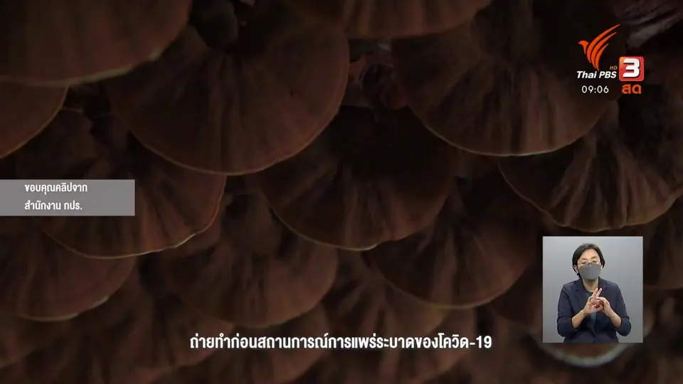 ดอกผลของความยั่งยืน : ฟาร์มเห็ด ฟาร์มสุขที่พอเพียง