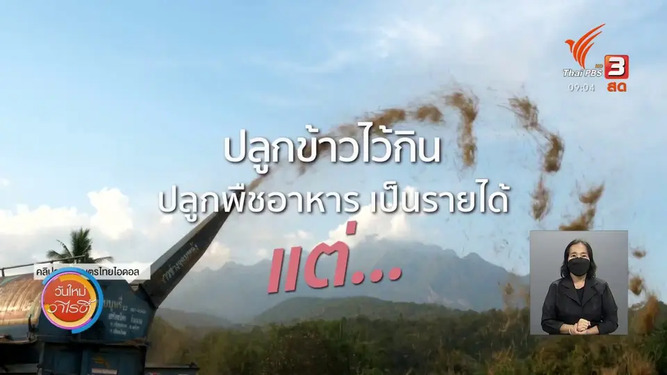 ดอกผลของความยั่งยืน : ชาดอกไม้ ต้นกำเนิดเกษตรอินทรีย์ที่เชียงดาว