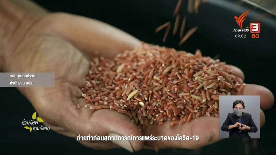 ดอกผลของความยั่งยืน : ยั่งยืนเพราะความพอเพียง