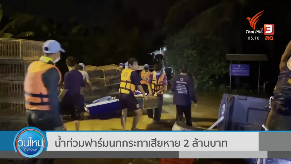 น้ำท่วมฟาร์มนกกระทาเสียหาย 2 ล้านบาท