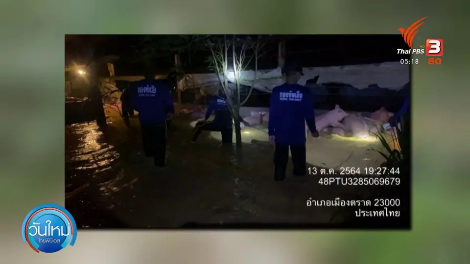 น้ำท่วมฟาร์มหมูเสียหายไม่ต่ำกว่า 5 ล้านบาท