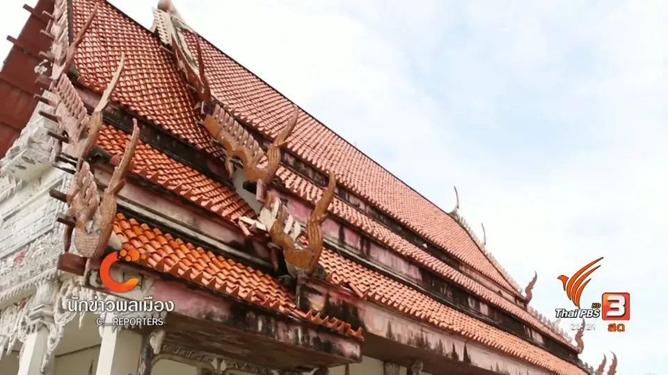 นักข่าวพลเมือง : ปลูกป่าชายเลนบ้านขุนสมุทรจีน จ.สมุทรปราการ