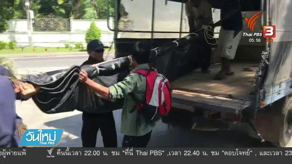 ย้ายจระเข้เลพังไปดูแลที่สวนสัตว์ภูเก็ต