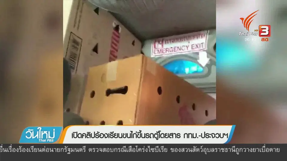 เปิดคลิปร้องเรียนขนไก่ขึ้นรถตู้โดยสาร กทม. – ประจวบฯ