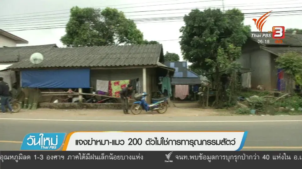แจงฆ่าหมา - แมว 200 ตัว ไม่ใช่การทารุณกรรมสัตว์