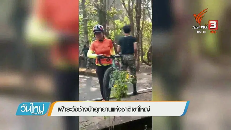 เฝ้าระวังช้างป่าอุทยานแห่งชาติเขาใหญ่