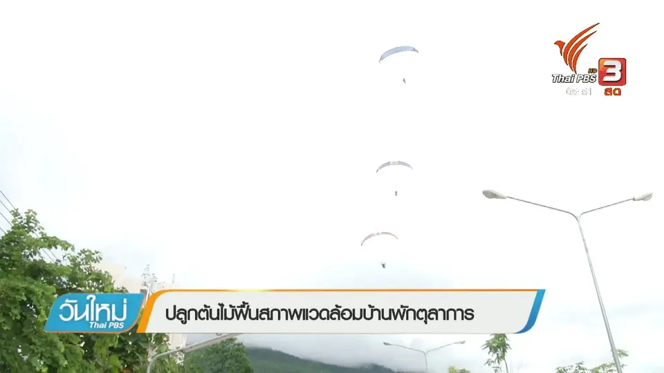 ปลูกต้นไม้ฟื้นสภาพแวดล้อมบ้านพักตุลาการ