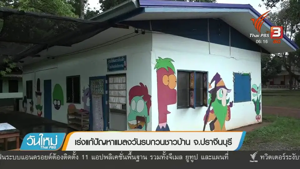 เร่งแก้ปัญหาแมลงวันรบกวนชาวบ้าน จ.ปราจีนบุรี