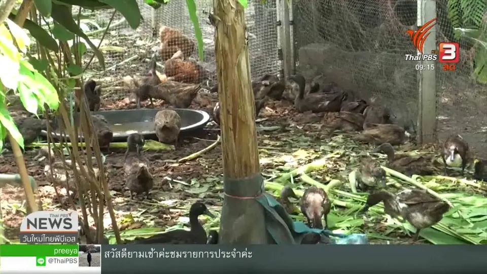 สีสันวาไรตี้ (13 ก.ย. 62)