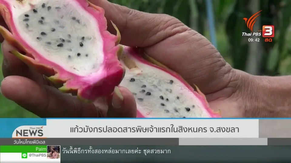 ​สีสันวาไรตี้ (6 ก.ย. 62)
