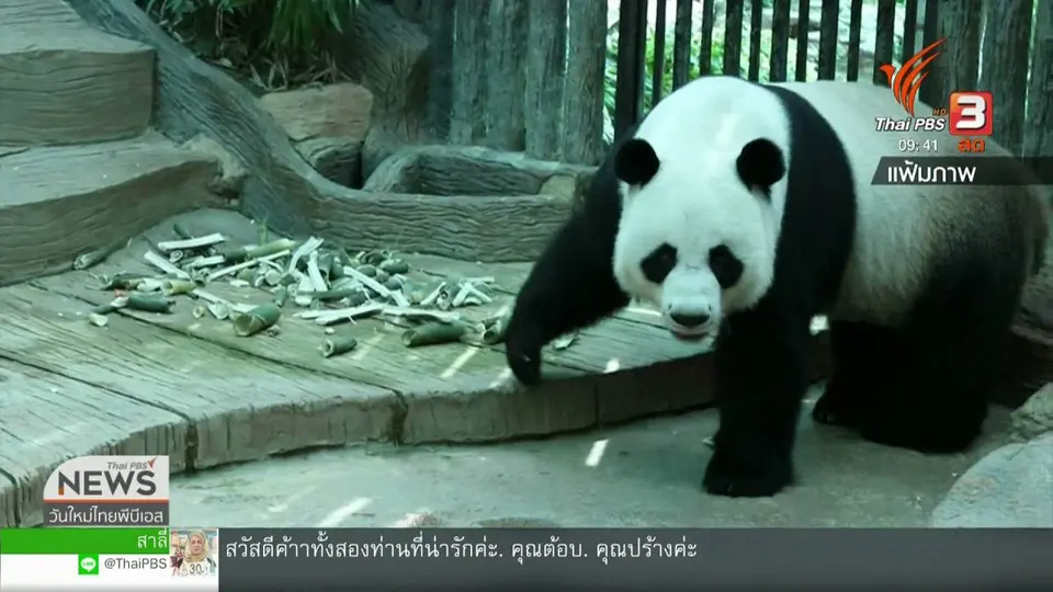 สีสันวาไรตี้ (19 ก.ย. 62)