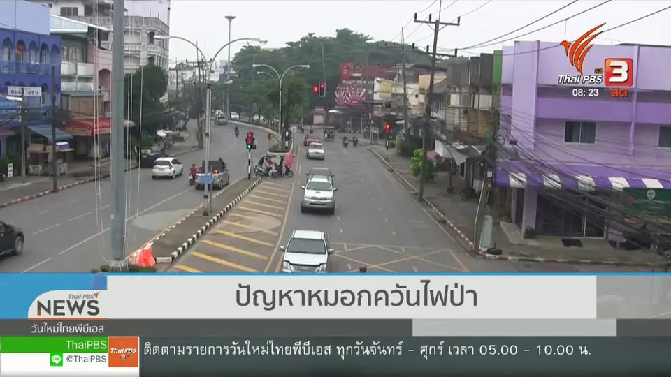 จับตาข่าวเด่น : ปัญหาหมอกควันไฟป่าในพื้นที่ภาคใต้