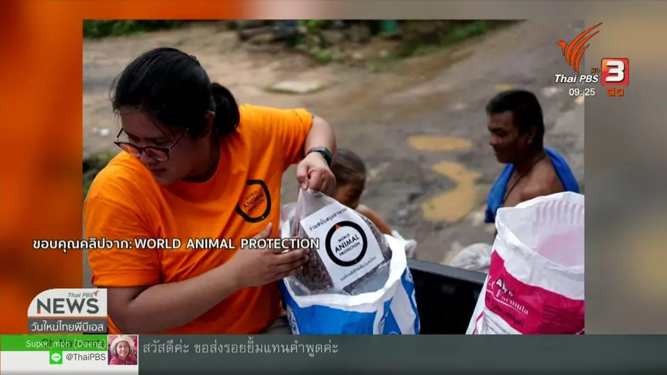 ประเด็นทางสังคม : "ภัยพิบัติ" กับ "ชีวิตสัตว์โลก" ผู้ประสบภัยที่ถูกหลงลืม