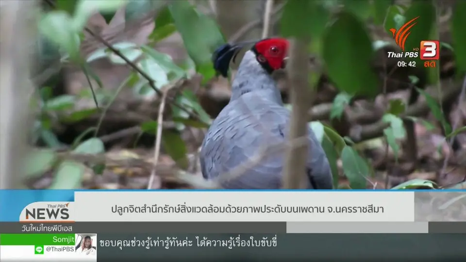 สีสันวาไรตี้ (20 ก.ย. 62)