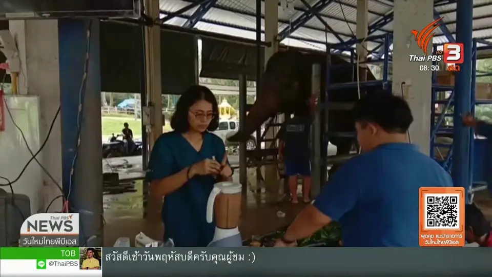 จับตาข่าวเด่น : สัตวแพทย์เร่งรักษาพังคำใส