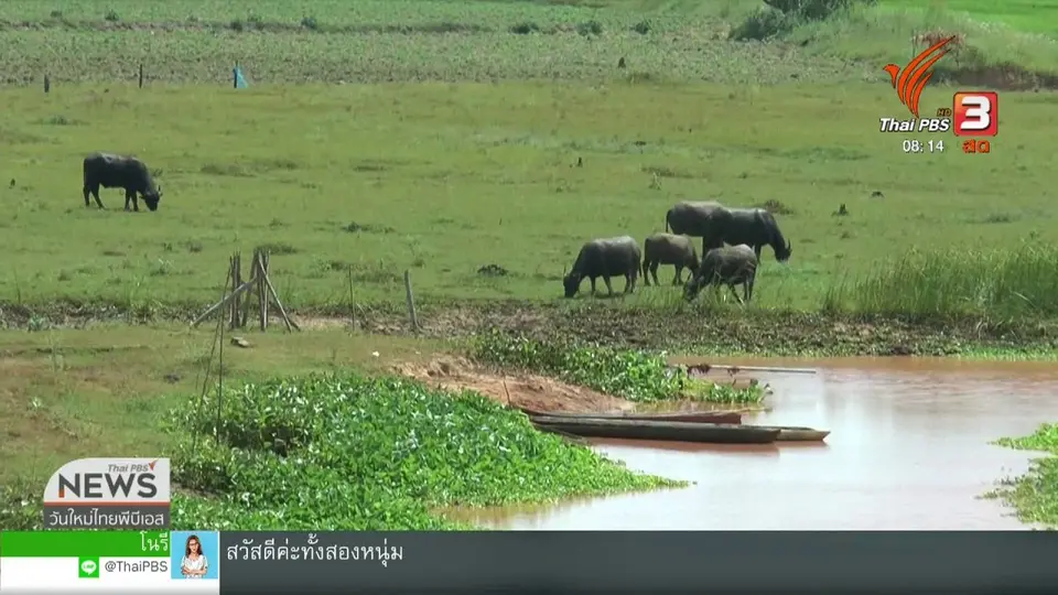 จับตาข่าวเด่น : จับตาสถานการณ์ภัยแล้ง