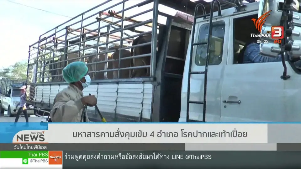 จับตาข่าวเด่น : จ.มหาสารคาม สั่งคุมเข้ม 4 อำเภอ โรคปากและเท้าเปื่อย