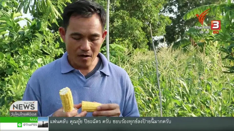 สีสันวาไรตี้ (1 พ.ย. 62)