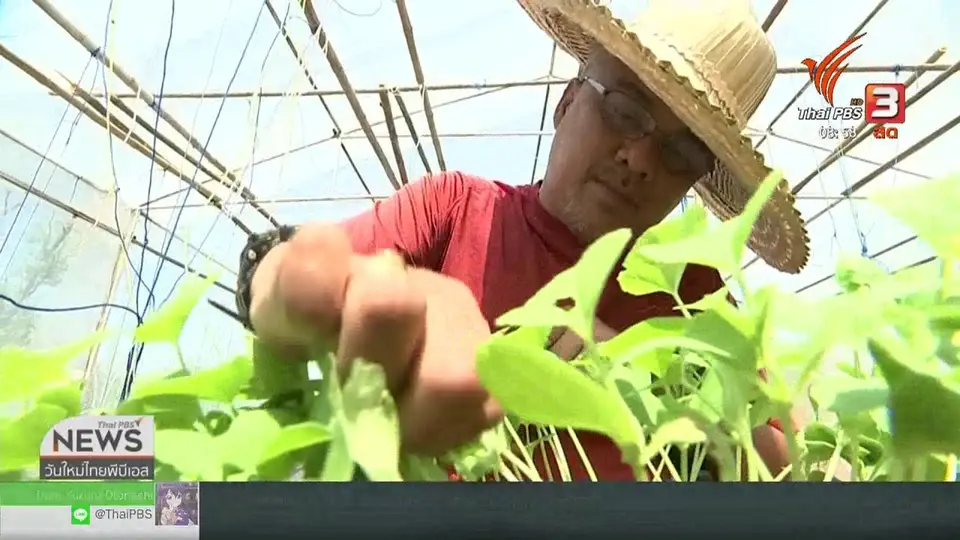 ประเด็นทางสังคม : View Share Farm​ พลังนักสู้ของคนพิการ