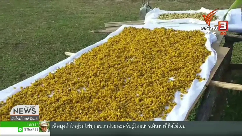 สีสันวาไรตี้ (6 พ.ย. 62)