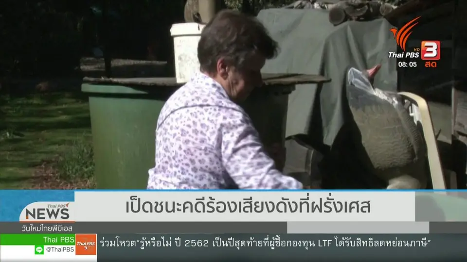 จับตาข่าวเด่น : เป็ดชนะคดีร้องเสียงดังที่ฝรั่งเศส