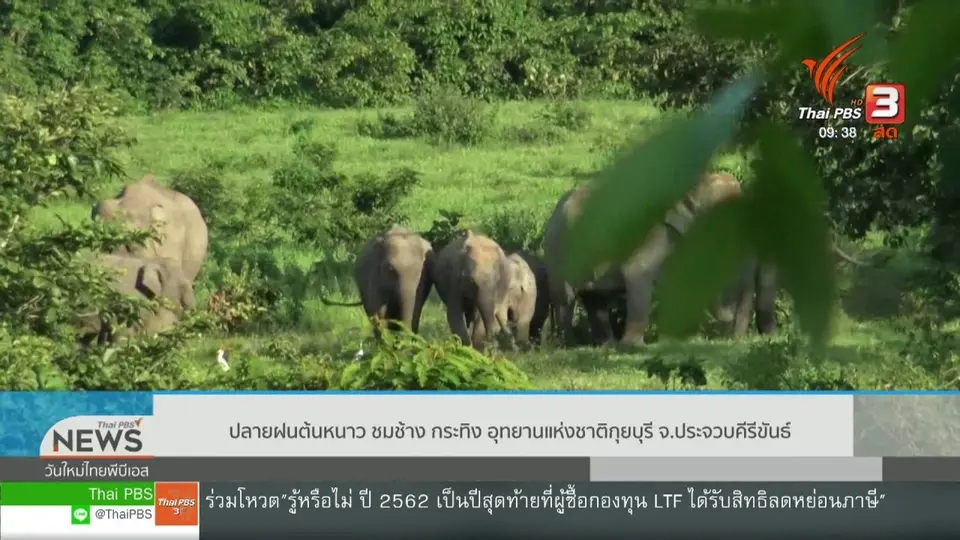 สีสันวาไรตี้ (26 พ.ย. 62)