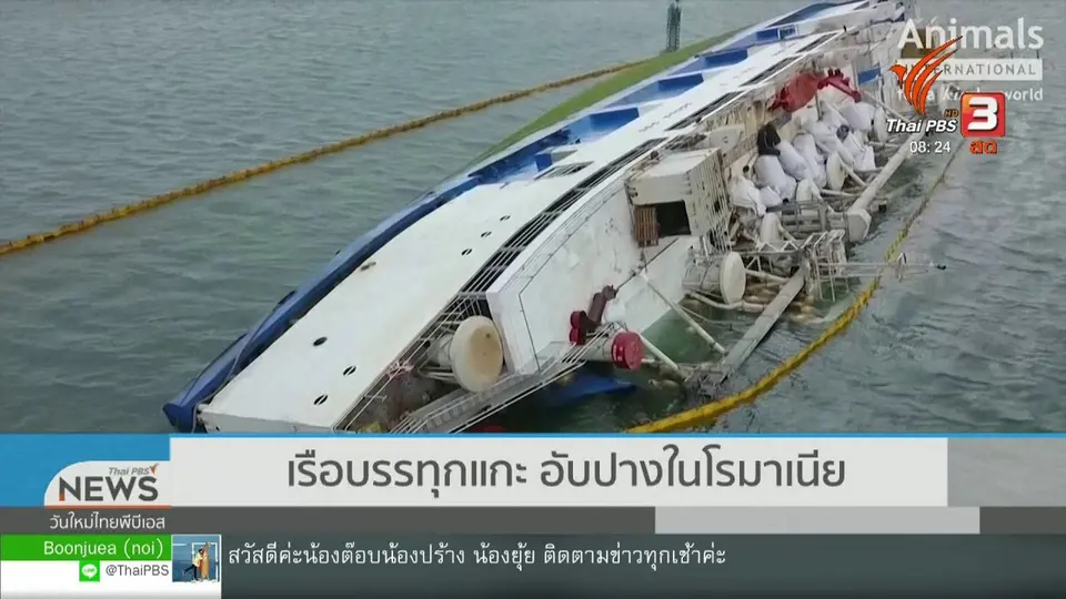 จับตาข่าวเด่น : เรือบรรทุกแกะอับปางในโรมาเนีย