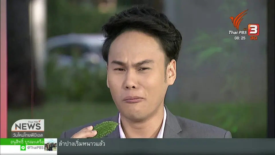 ​จับตาข่าวเด่น : แพทย์แผนไทยชี้มะระขี้นก ลดเบาหวานได้จริง