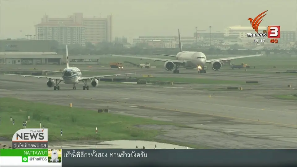 จับตาข่าวเด่น : "ลีลู" หมูบำบัด กองกำลังพิเศษของสนามบิน