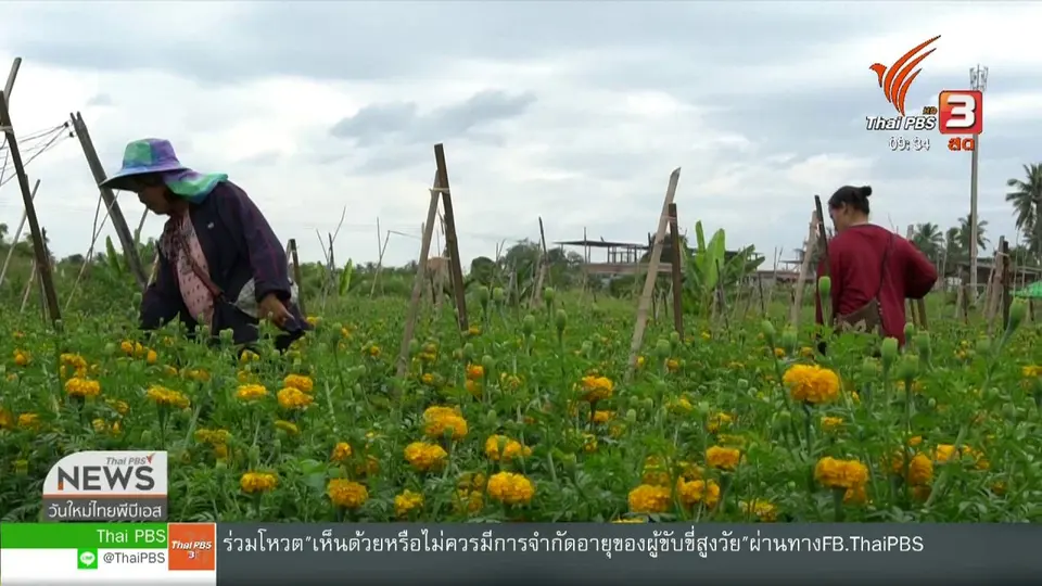 ​สีสันวาไรตี้ (21 พ.ย. 62)