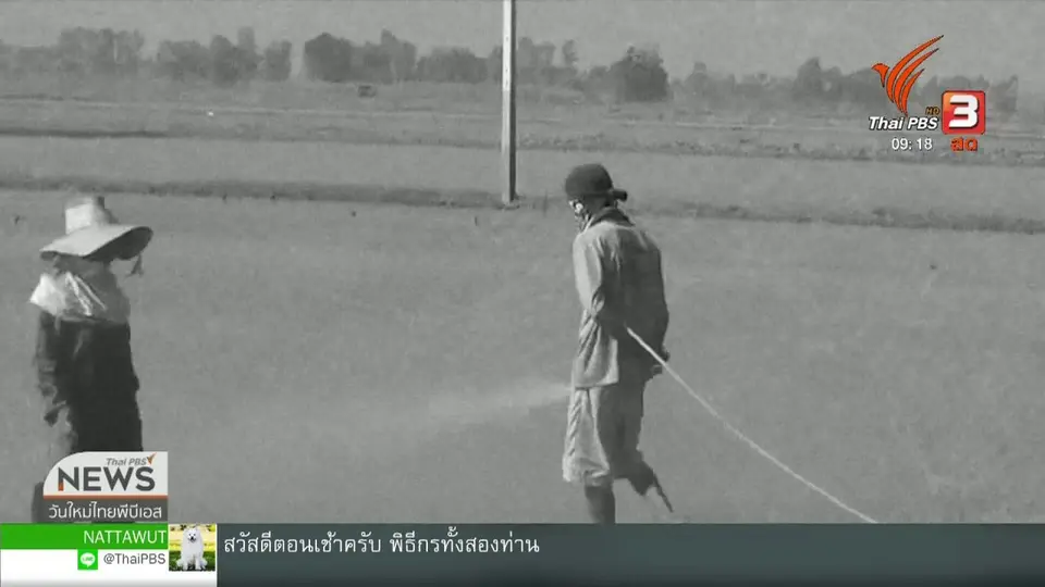 ​ประเด็นทางสังคม : โมเดลธุรกิจเกื้อกูลสังคม ขับเคลื่อนวิถีเกษตรอินทรีย์อย่างยั่งยืน