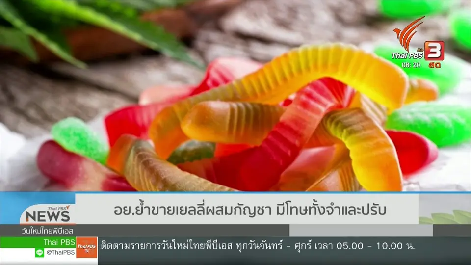 จับตาข่าวเด่น : อย. ย้ำขายเยลลีผสมกัญชา มีโทษทั้งจำและปรับ